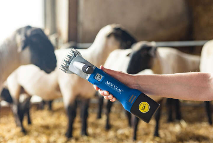 AESCULAP Akkuschermaschine Econom Nova CL für Schafe